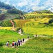 Highly Recommend Vietnam Best Holidays!