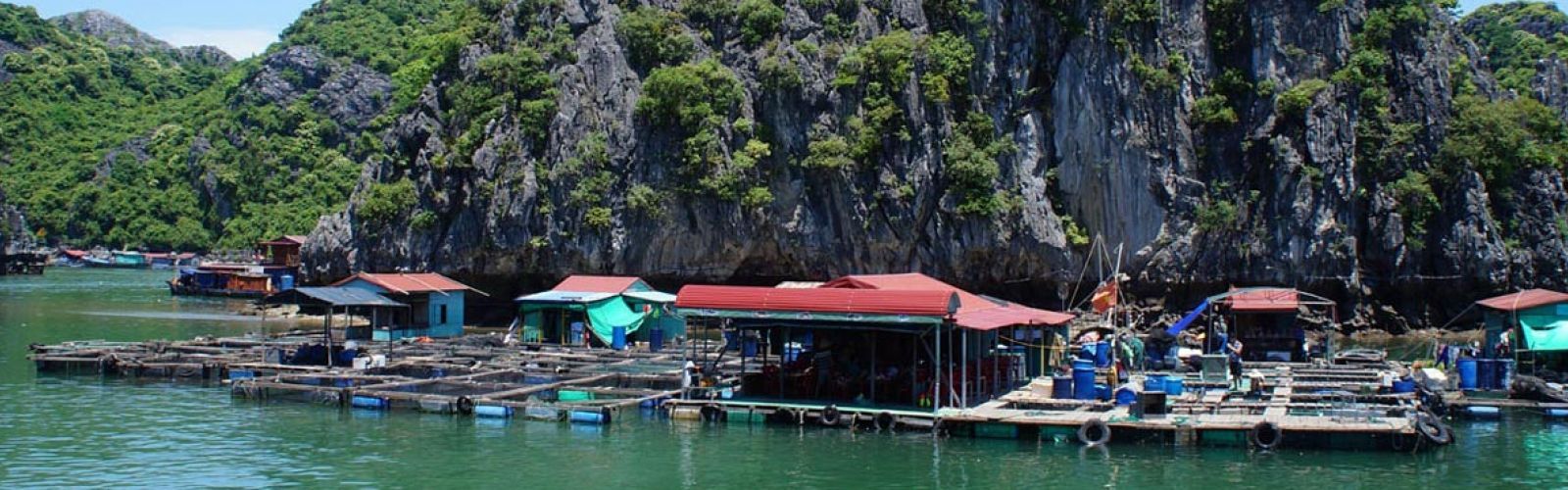 Hotels in Cat Ba Island