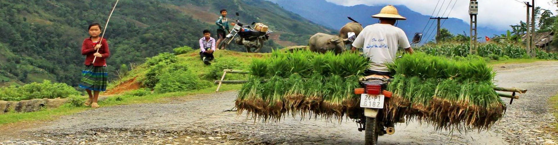 Travel Tips in Sapa