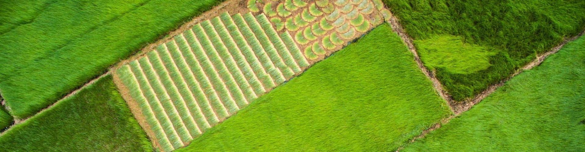 Travel Experiences in South Vietnam 