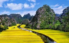 Northern Vietnam Fancy Tour (Sic)