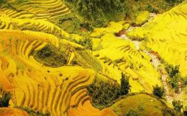 Vietnam & Laos Essential Tour