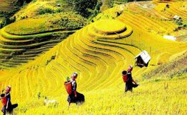Vietnam North-West Loop Trek Tour
