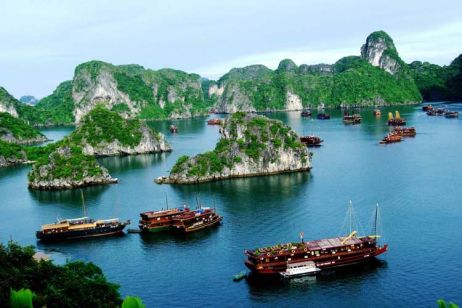 Book a cruise in Halong Bay