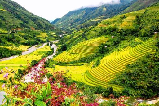 When to go Sapa