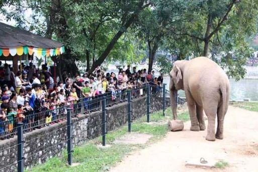 Thu Le Park