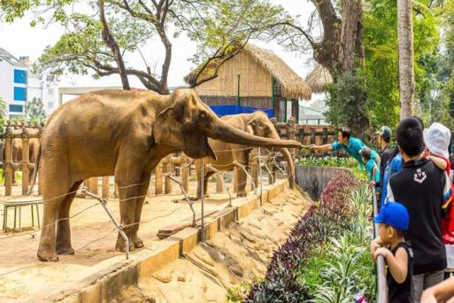 Ho Chi Minh City Zoo & Botanical Gardens