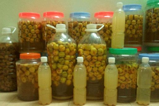 Fructus Crataegi Wine
