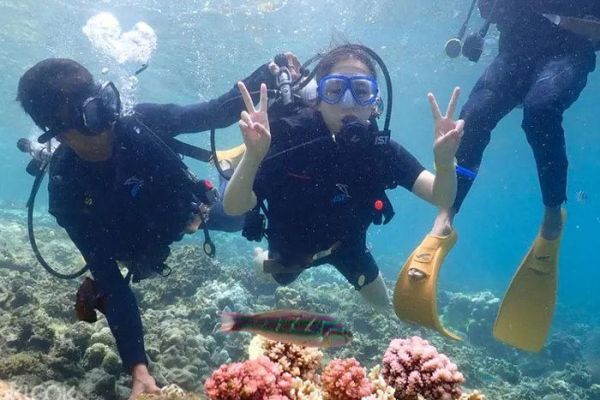 Expectations Exceeded!