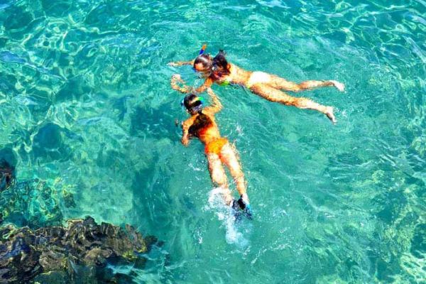 Professional Travel Agent!