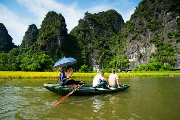 Exceeded Our Expectations!