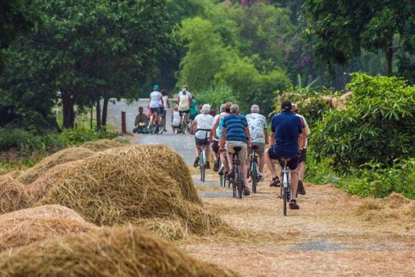 Awesome Trip In Vietnam!