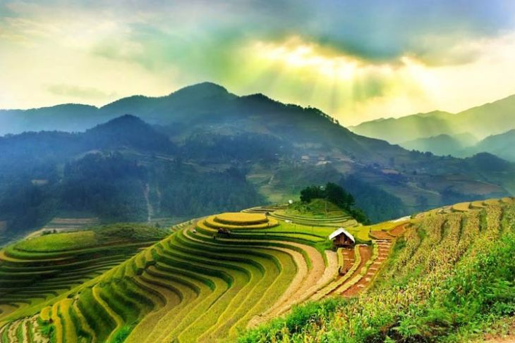 Diverse And Beautiful Landscapes