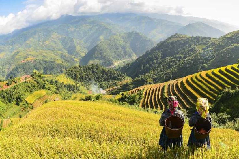 From Hanoi To Saigon, 10 Days With Classic Vietnam Tour