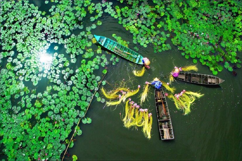 Mekong Delta Day Trip From Ho Chi Minh City - An Unique Experience