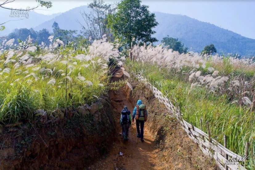 Reasons To Have A Wonderful Trekking Tour In Sapa, Vietnam